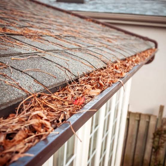 Clear gutter and downspout